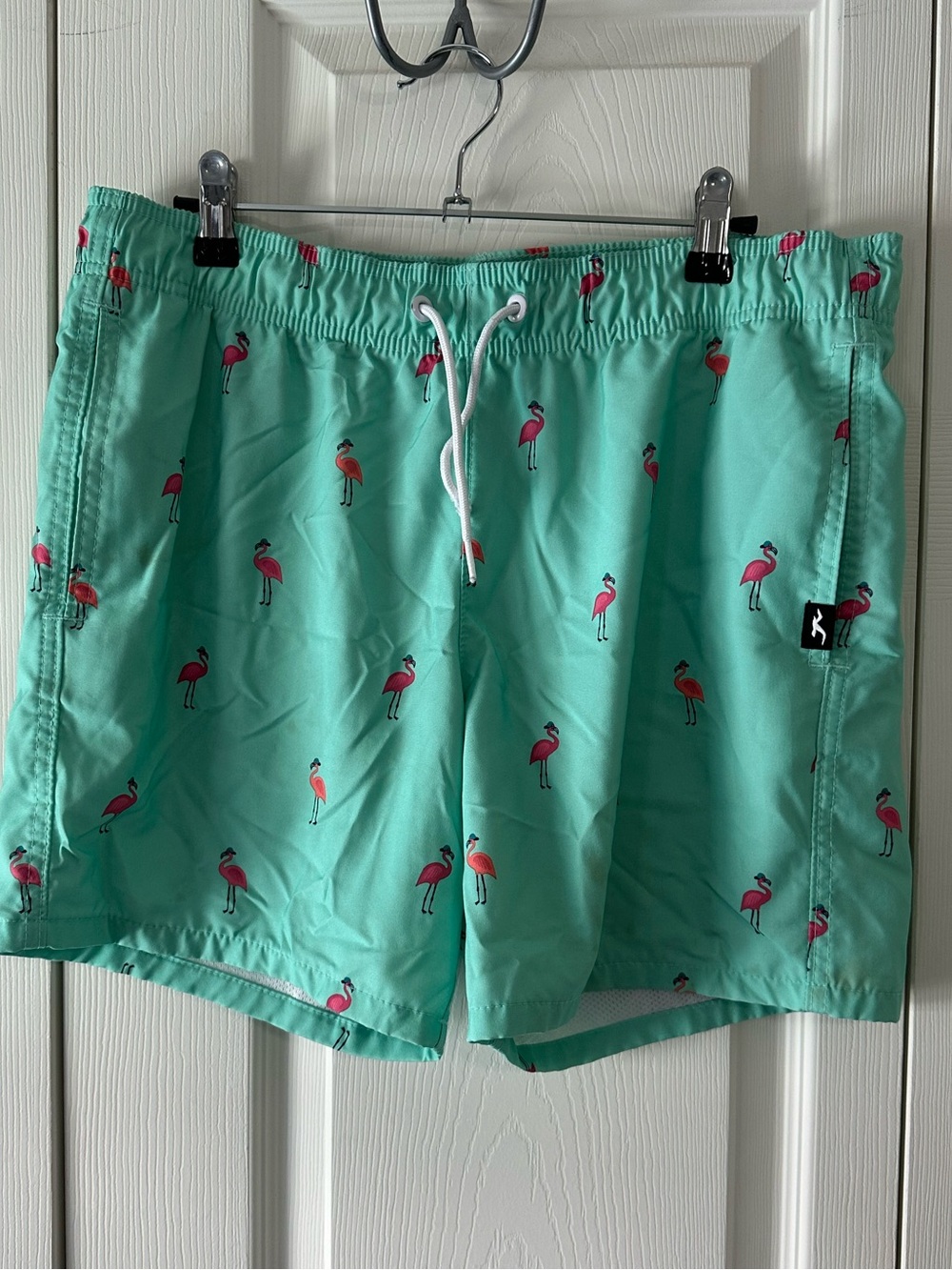 Hollister Mint Green Swim Trunks with Pink Flamingo Print